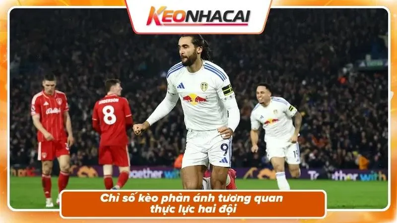 Nhận định kèo trận đấu